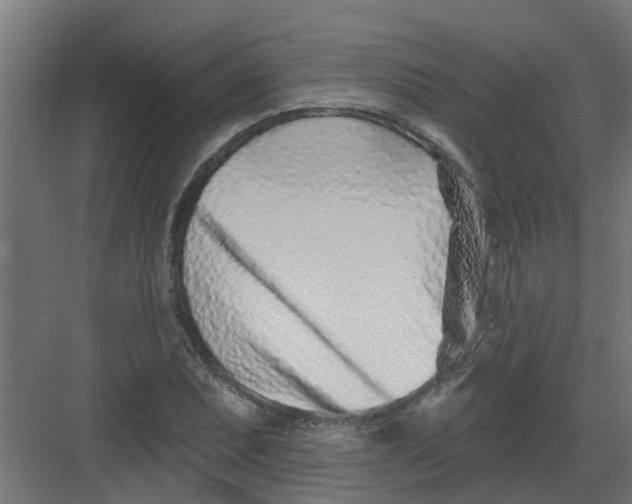 X0000082161071200702092212