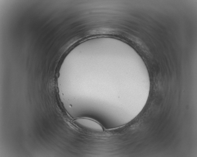 X0000082161073200702092212