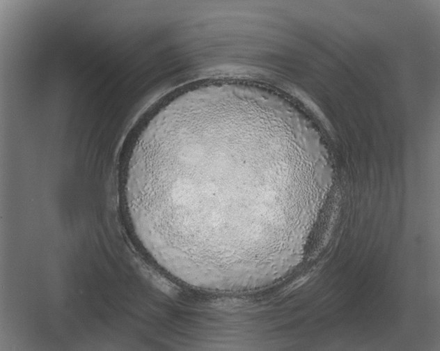 X0000082161075200702092212