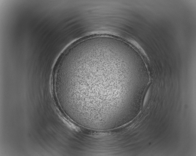 X0000082161076200702092211