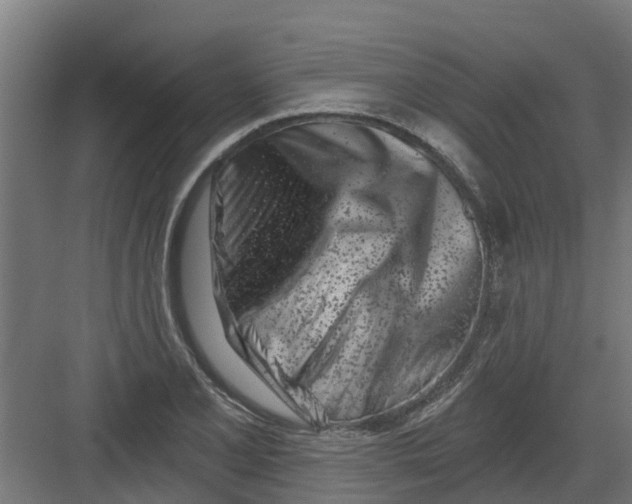 X0000082161077200702092211