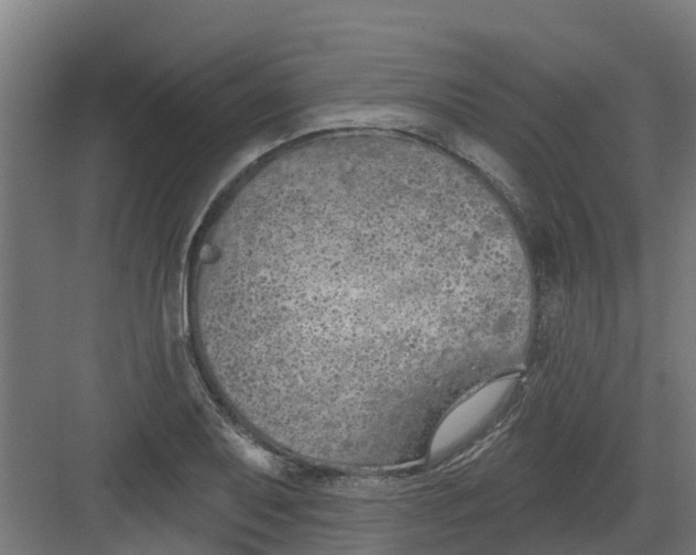 X0000082161079200702092211