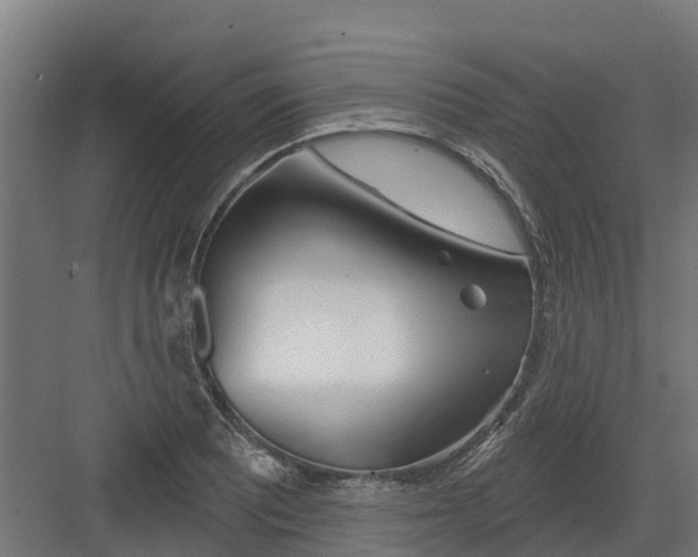 X0000082161081200702092211