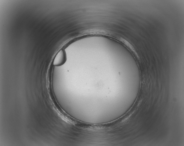 X0000082161082200702092211