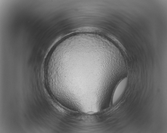 X0000082161083200702092211