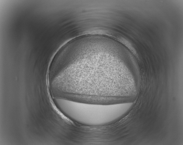 X0000082161084200702092211