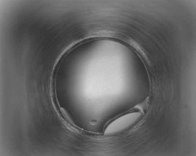 X0000082161085200702092211