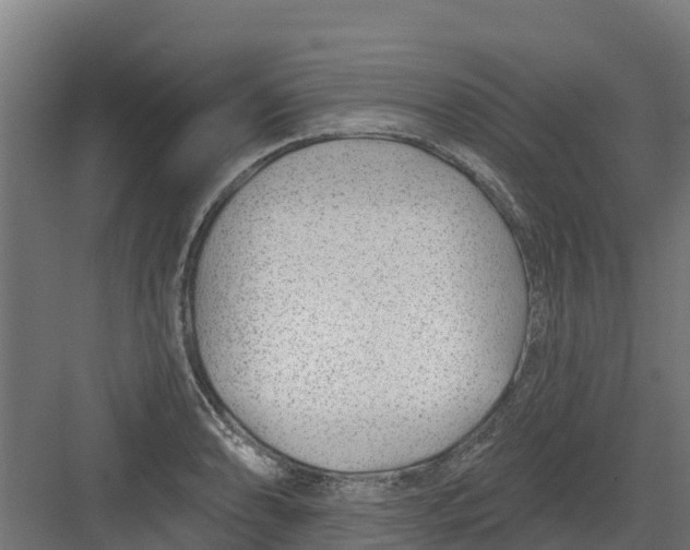 X0000082161086200702092211