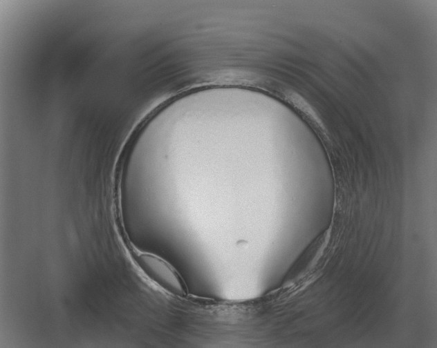 X0000082161087200702092211