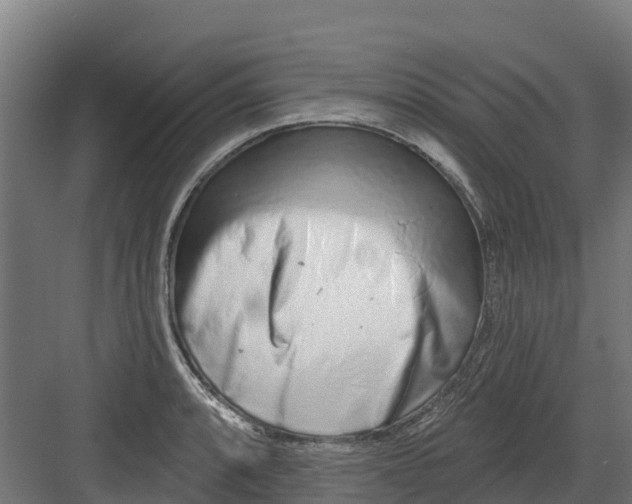 X0000082161088200702092211