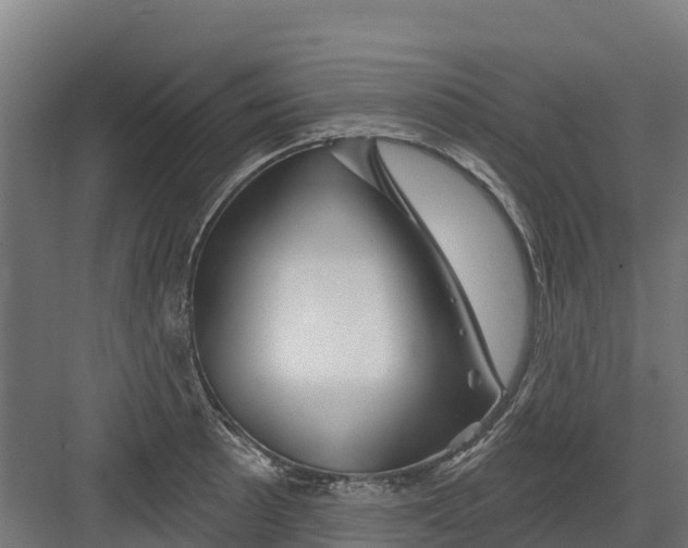 X0000082161089200702092211