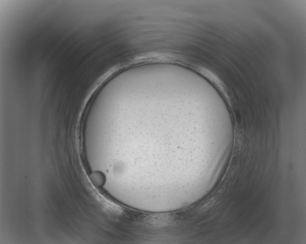 X0000082161090200702092211