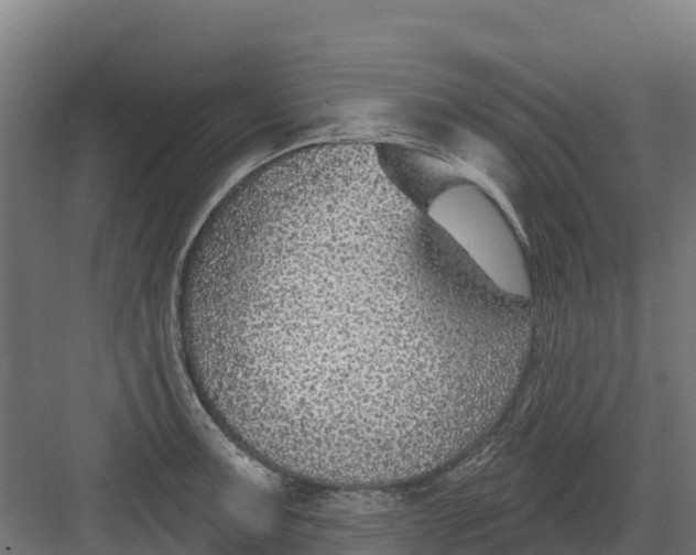 X0000082161091200702092211