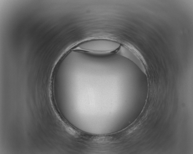 X0000082161093200702092211