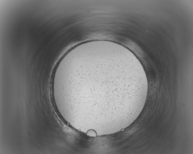 X0000082161094200702092211