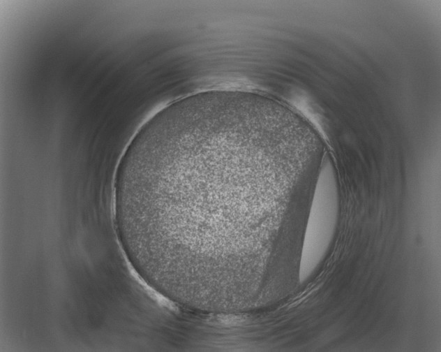 X0000082161095200702092211