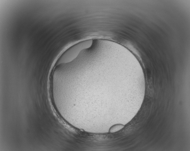 X0000082161096200702092211