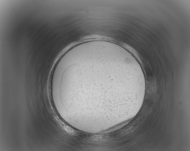 X0000082161098200702092211