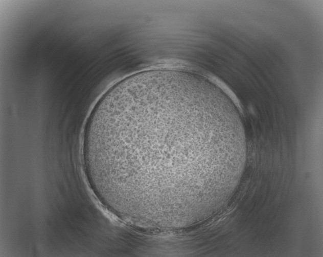 X0000082161099200702092211