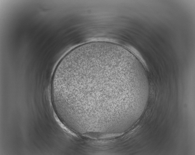 X0000082161100200702092211