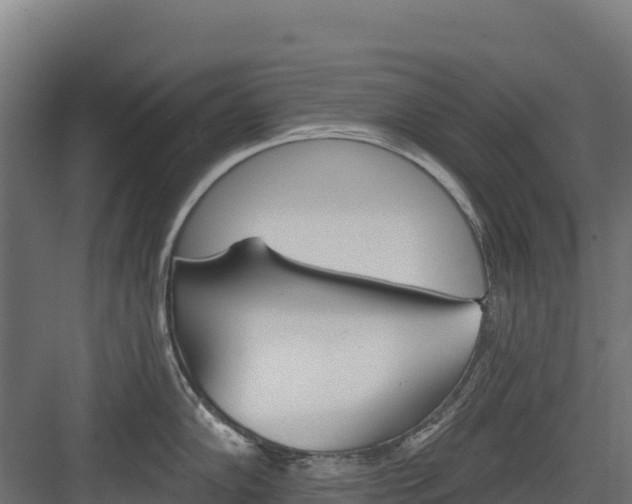 X0000082161102200702092211