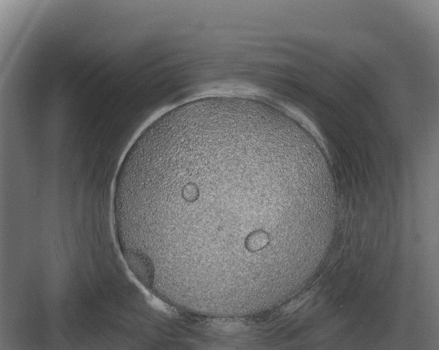 X0000082161103200702092211