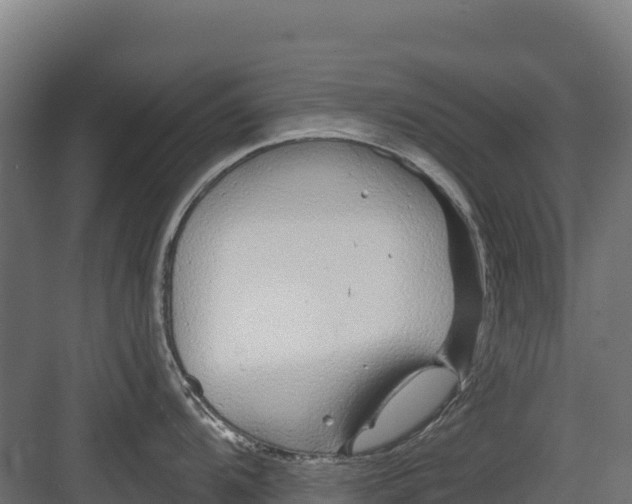 X0000082161104200702092211