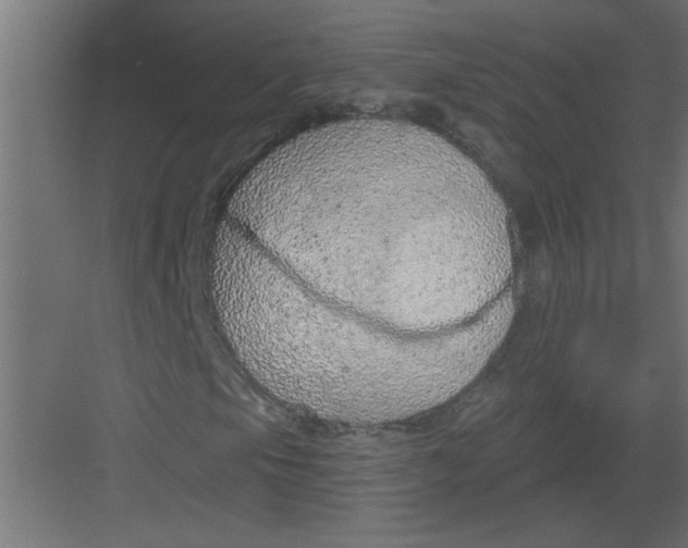 X0000082161105200702092210