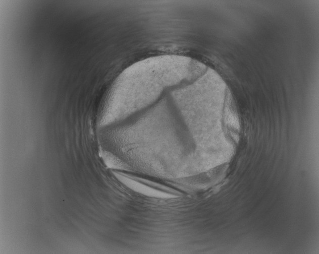 X0000082161106200702092210