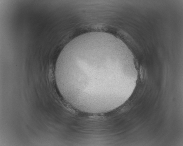 X0000082161107200702092210