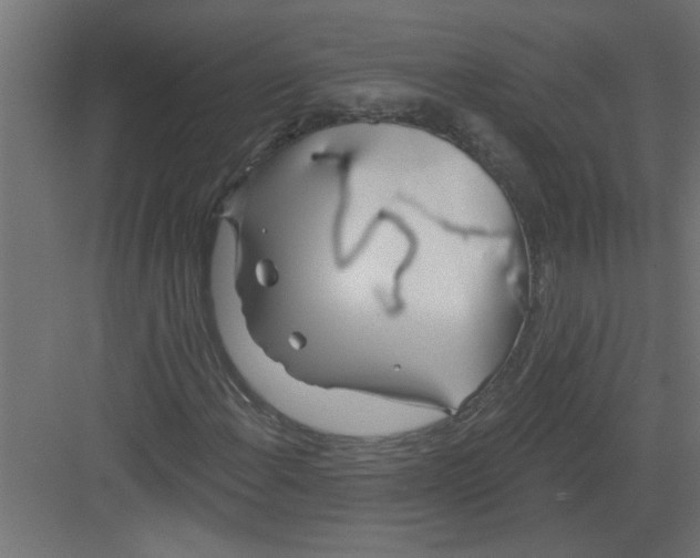 X0000082161108200702092210