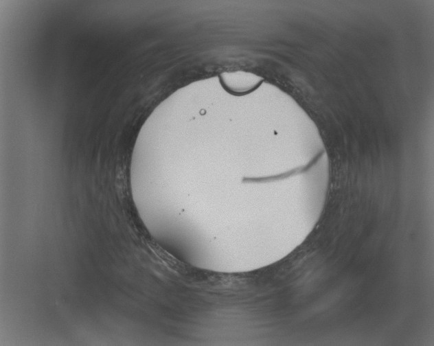 X0000082161109200702092210