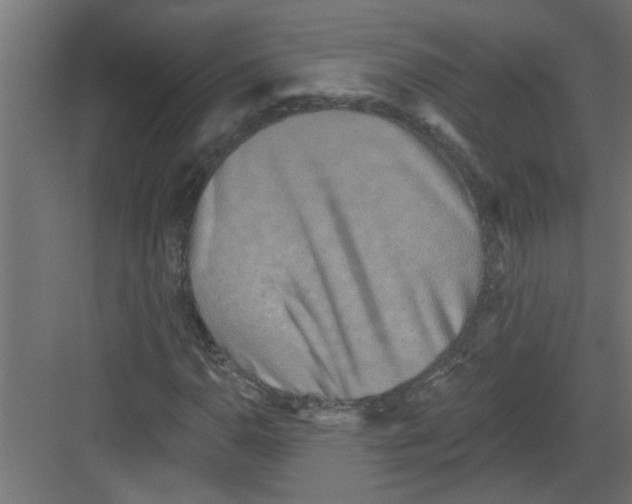 X0000082161110200702092210