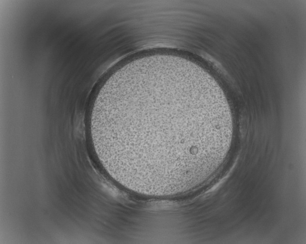 X0000082161113200702092210