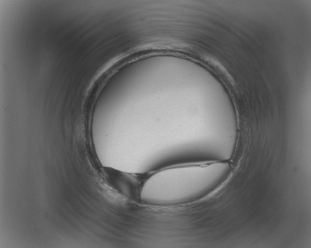 X0000082161114200702092210