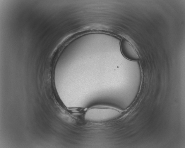 X0000082161115200702092210