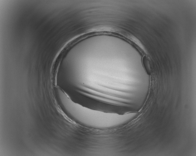 X0000082161116200702092210