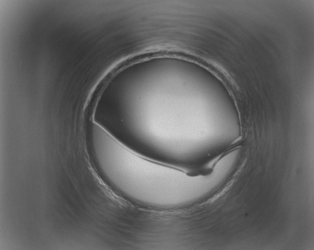 X0000082161118200702092210