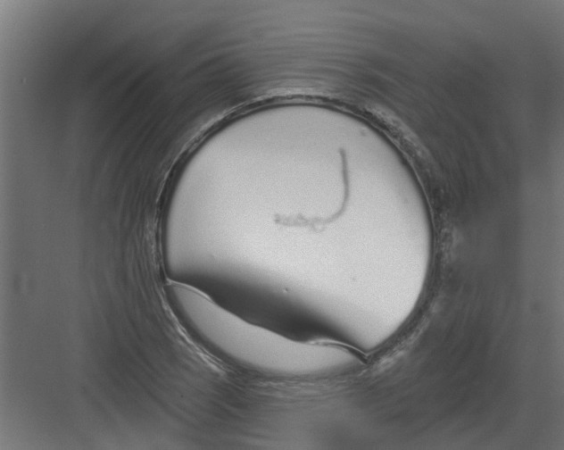 X0000082161121200702092210