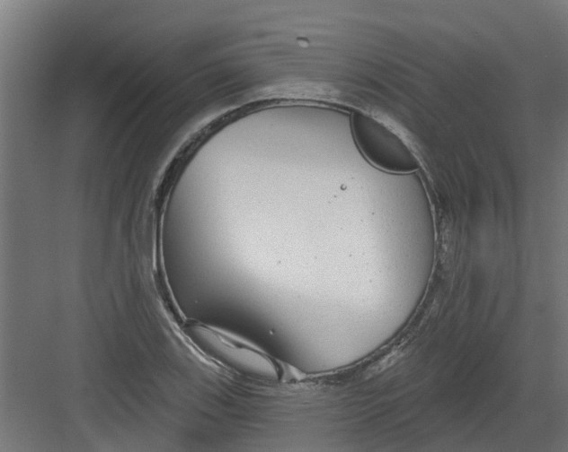 X0000082161123200702092211