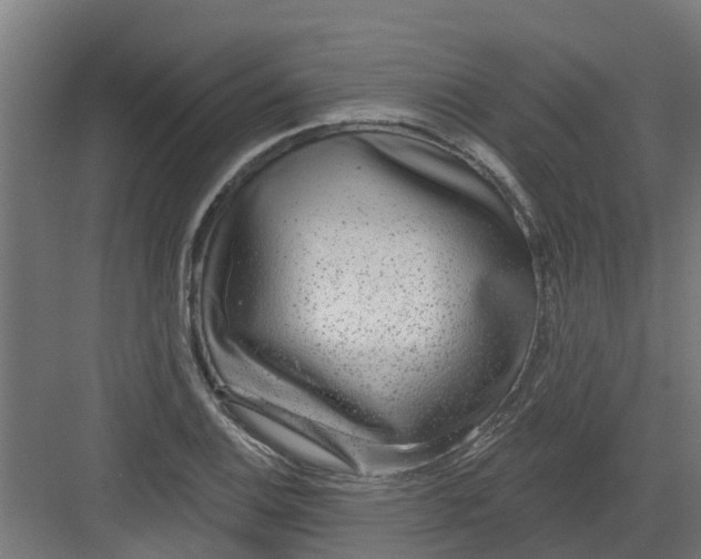 X0000082161124200702092211