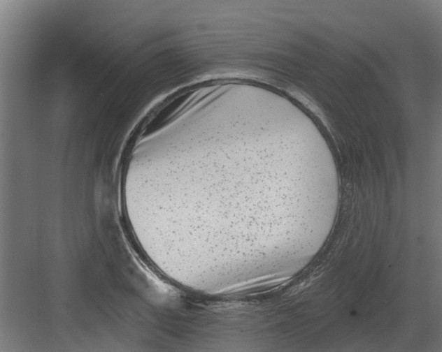 X0000082161127200702092211