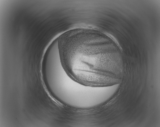 X0000082161128200702092211