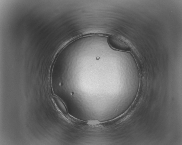 X0000082161129200702092211