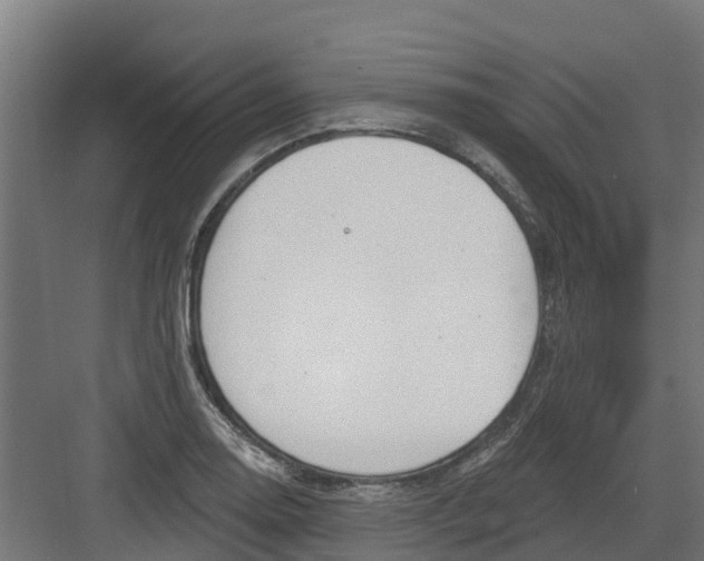 X0000082161130200702092211