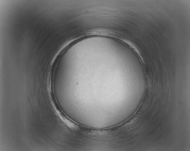 X0000082161131200702092211