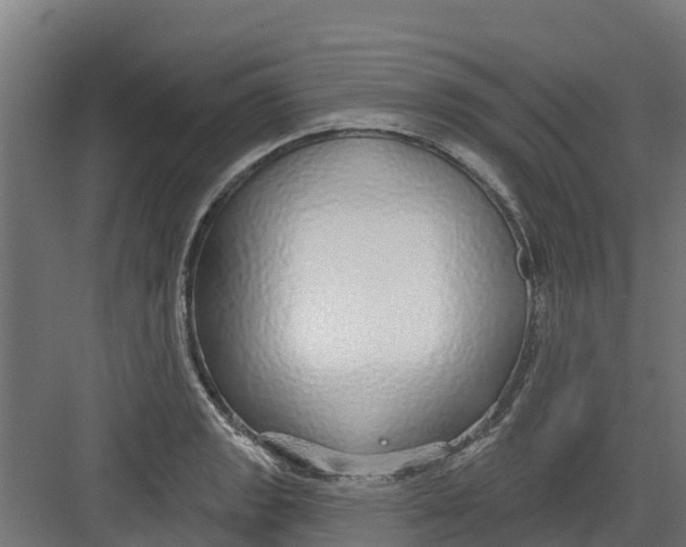 X0000082161133200702092211