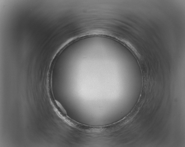 X0000082161134200702092211