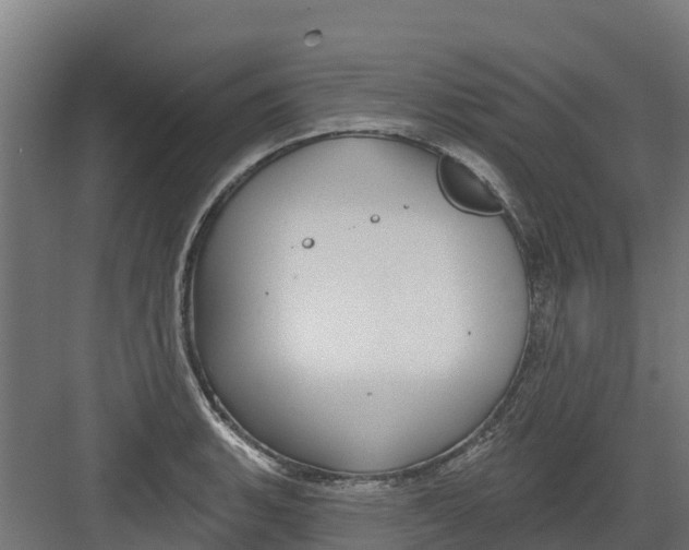 X0000082161135200702092211