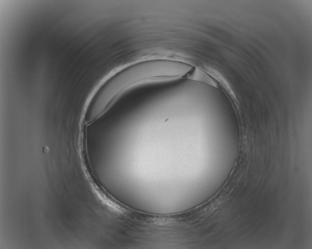 X0000082161136200702092211